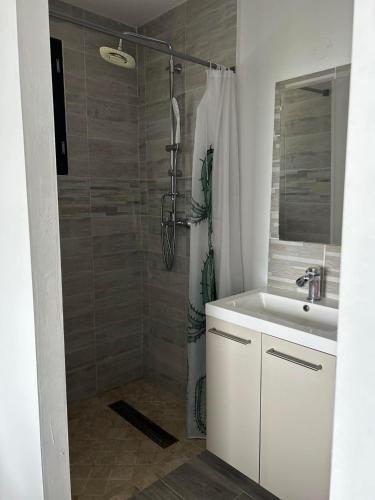 une salle de bain avec douche et lavabo dans l'établissement Magnifique Villa avec piscine Beaujolais, à Gleizé