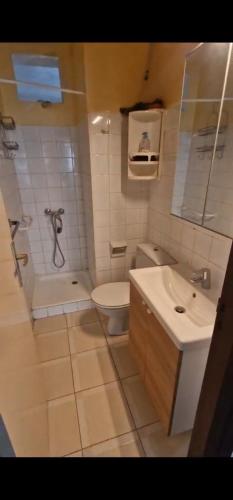 サン・クリストバル・デ・ラ・ラグーナにあるCentro La Laguna Trinidadの白いバスルーム(トイレ、シンク付)