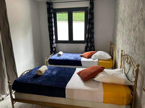 2 Einzelbetten in einem Zimmer mit Fenster in der Unterkunft Magnifique Villa avec piscine Beaujolais in Gleizé
