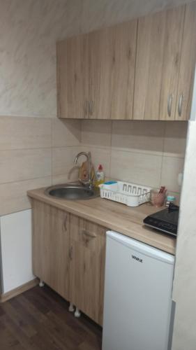 Kuchyň nebo kuchyňský kout v ubytování Apartmani Lovcen