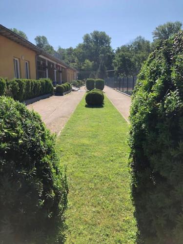 a row of hedges in front of a building at Apartment number 3 in Oberschleißheim