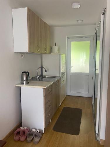 Kuchyň nebo kuchyňský kout v ubytování Studio apartman VaLi