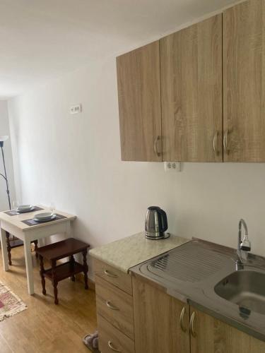Kuchyň nebo kuchyňský kout v ubytování Studio apartman VaLi