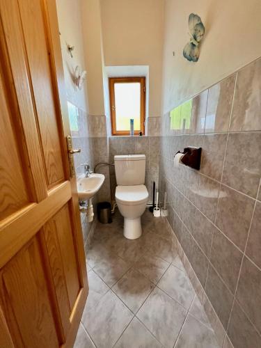 a bathroom with a toilet and a sink at Holiday Home Celine in Velké Svatoňovice