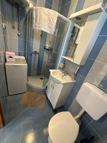 ein Bad mit einem WC, einem Waschbecken und einer Dusche in der Unterkunft Villa Nela in Tivat