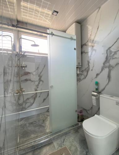 a bathroom with a shower and a toilet at Tian-Shan Guest House in Balykchy