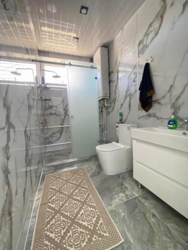 a bathroom with a shower and a toilet and a sink at Tian-Shan Guest House in Balykchy
