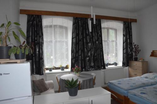 a room with a bed and two windows with plants at Ubytování u zámku in Brandýs nad Orlicí