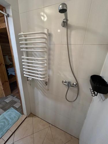 a shower with a shower head in a bathroom at Agroturystyka u Basi i Waldka in Zelwa
