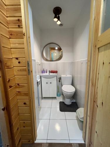 a bathroom with a toilet and a sink and a mirror at Agroturystyka u Basi i Waldka in Zelwa