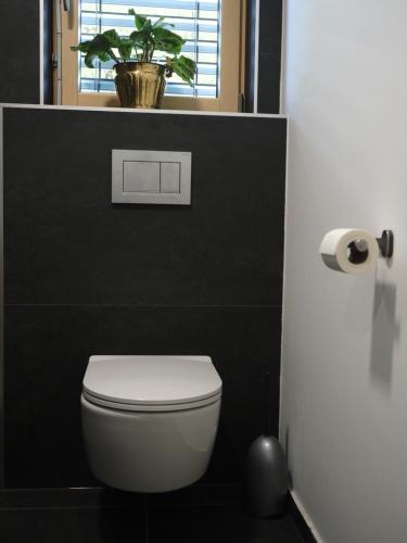 a white toilet in a black bathroom with a plant at Hiša Eva in Bizovik