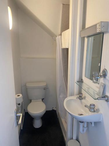 a small bathroom with a toilet and a sink at Ellwyn House in Edinburgh
