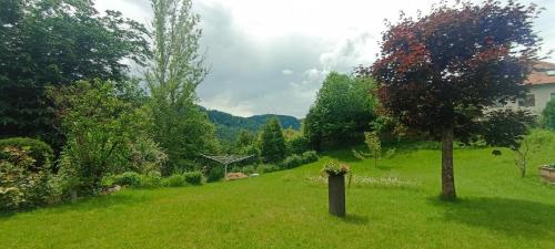 a green yard with a tree in the grass at Haus Pieschl in Pertitschach