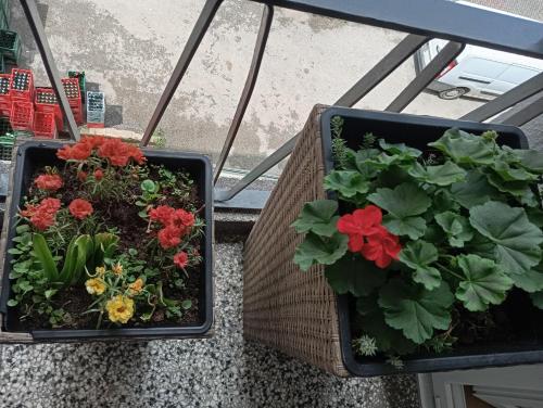 two baskets of flowers and plants on a balcony at Apartman Radanović in Foča