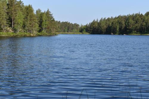 a view of a lake with trees in the background at Hus Vena in Vena