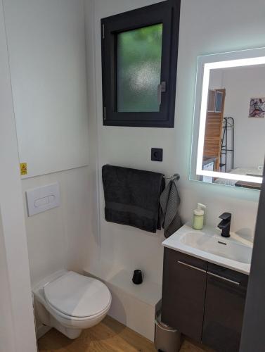 une salle de bain avec toilettes, lavabo et miroir dans l'établissement Les CosyHouilles Chambre Nati, à Houilles