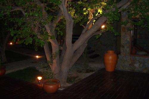 Κήπος έξω από το Al Sereno Hotel y Spa