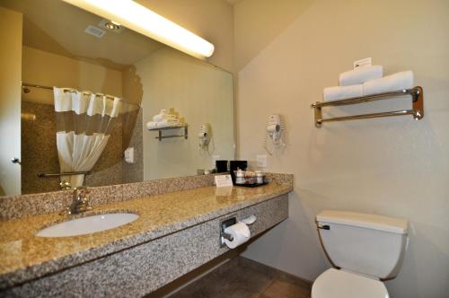 Bilik mandi di Montcler Hotel & Conference Center, Trademark by Wyndham