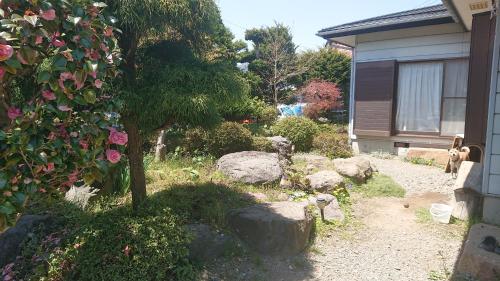 a garden with rocks and a tree and a house at T&T Fujiyama Guest House in Fujiyoshida