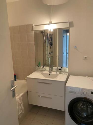 une salle de bain avec un lavabo et une machine à laver dans l'établissement Hyper Centre - À Proximité des maisons de champagne, à Reims