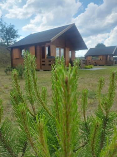 Φωτογραφία από το άλμπουμ του Kaszubskie Łąki domek nr 4 σε Łąkie
