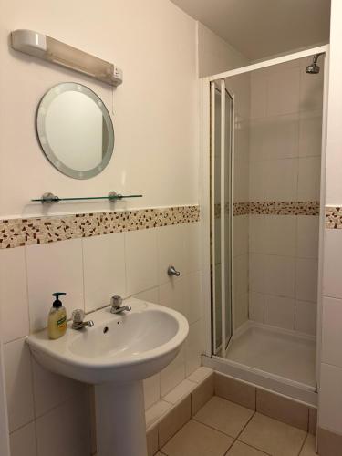 a bathroom with a sink and a shower and a mirror at Old Town Apartment in Waterford
