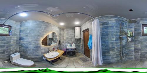 a bathroom with a toilet and a sink at odahouse. fireplace and spring water. in Batumi