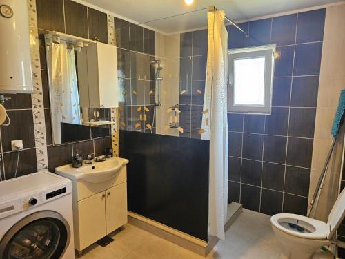 a bathroom with a washing machine and a sink at Apartman Rakovica in Sarajevo