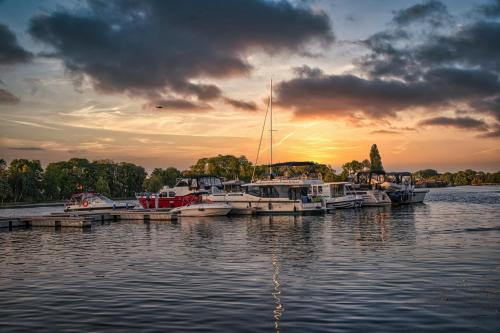 a group of boats docked at a marina at sunset at Lakeview Röbel - Penthouse Am Hafen Röbel in Röbel