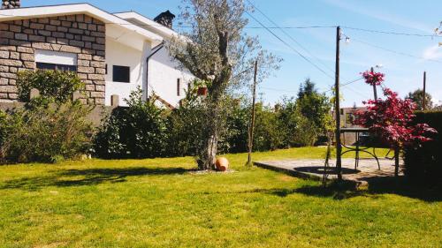 a house with a tree in the yard at SOFT ROOMS in Vila Real