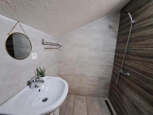 a bathroom with a sink and a mirror and a shower at Villa Ristovski in Ohrid