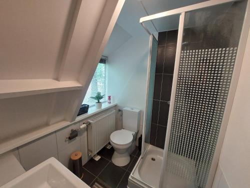 a small bathroom with a toilet and a shower at Het vlindertje in Durbuy