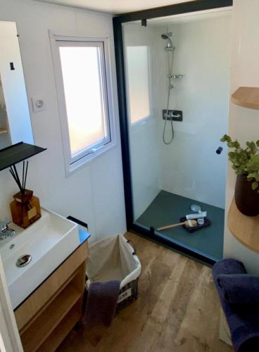 a bathroom with a shower and a sink at Domaine de la Palme in Lapalme