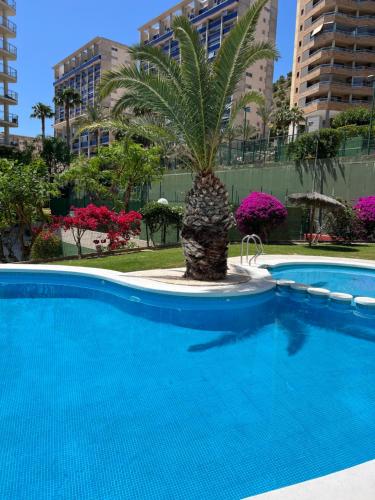 Apartamento Mar y Sol Benidorm