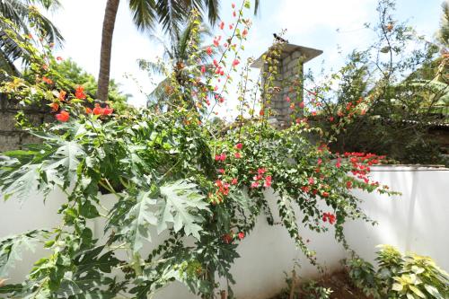 a garden with red flowers on a white fence at Sunflowers Canada House in Jaffna