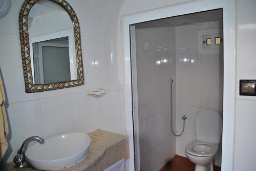 a bathroom with a sink and a toilet and a mirror at Ferme Dar Aicha green Bellouta in Bellouta