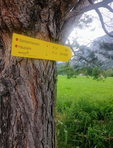 a yellow sign on the side of a tree at Haus Bergblick am Grünen See in Oberort