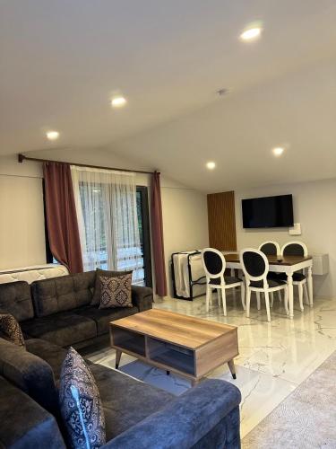 Televisyen dan/atau pusat hiburan di Gölbaşı Garden Villa