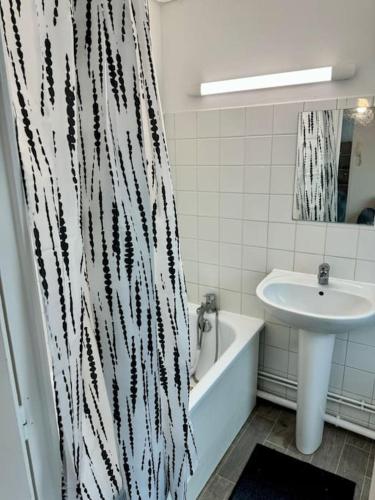 une salle de bain avec un lavabo et un rideau de douche dans l'établissement Superbe Appartement Très Calme et Confortable, à Reims