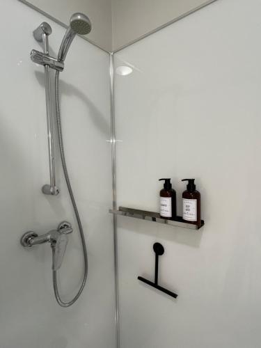 une douche avec un pommeau de douche et 2 bouteilles sur une étagère dans l'établissement Appartement Vichy Centre, à Vichy