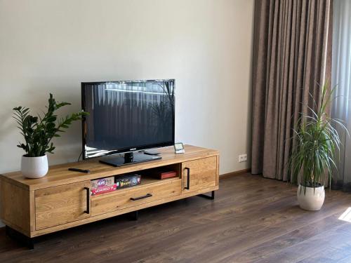Televisor o centre d'entreteniment de Rohu apartment