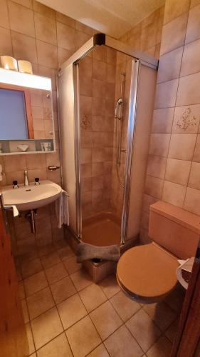 a bathroom with a shower and a toilet and a sink at Dent Blanche in Zermatt