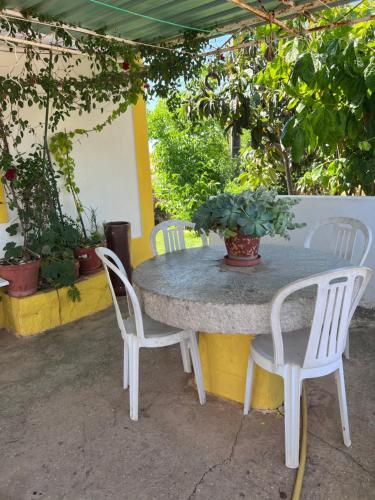 a table with two chairs and a potted plant on it at Casa da avó Delmira in São Marcos da Serra