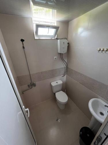 a small bathroom with a toilet and a sink at Guesthouse Turo in Ambrolauri