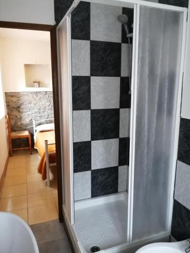 a shower in a bathroom with a checkered wall at La Debbia Ranch in Vezzola