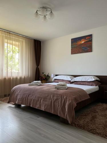a bedroom with a large bed and a window at Ank's Apartment in Ocna-Mureşului