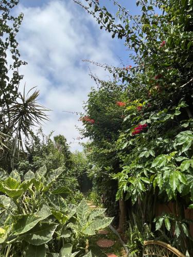Ein Garten an der Unterkunft Lovely flat in nice garden