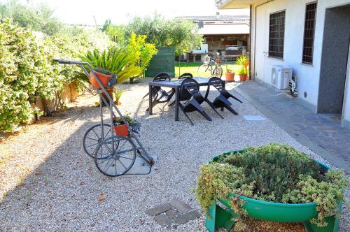 ein Fahrrad neben einem Tisch geparkt und einige Pflanzen in der Unterkunft B&B Colle Mattia in Colonna
