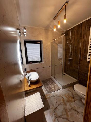 a bathroom with a shower and a sink and a toilet at Domek całoroczny Borzy-chatka nad Liwcem in Borzychy