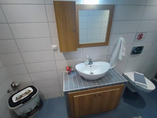 a bathroom with a sink and a toilet and a mirror at EROFILIO in Keramotí